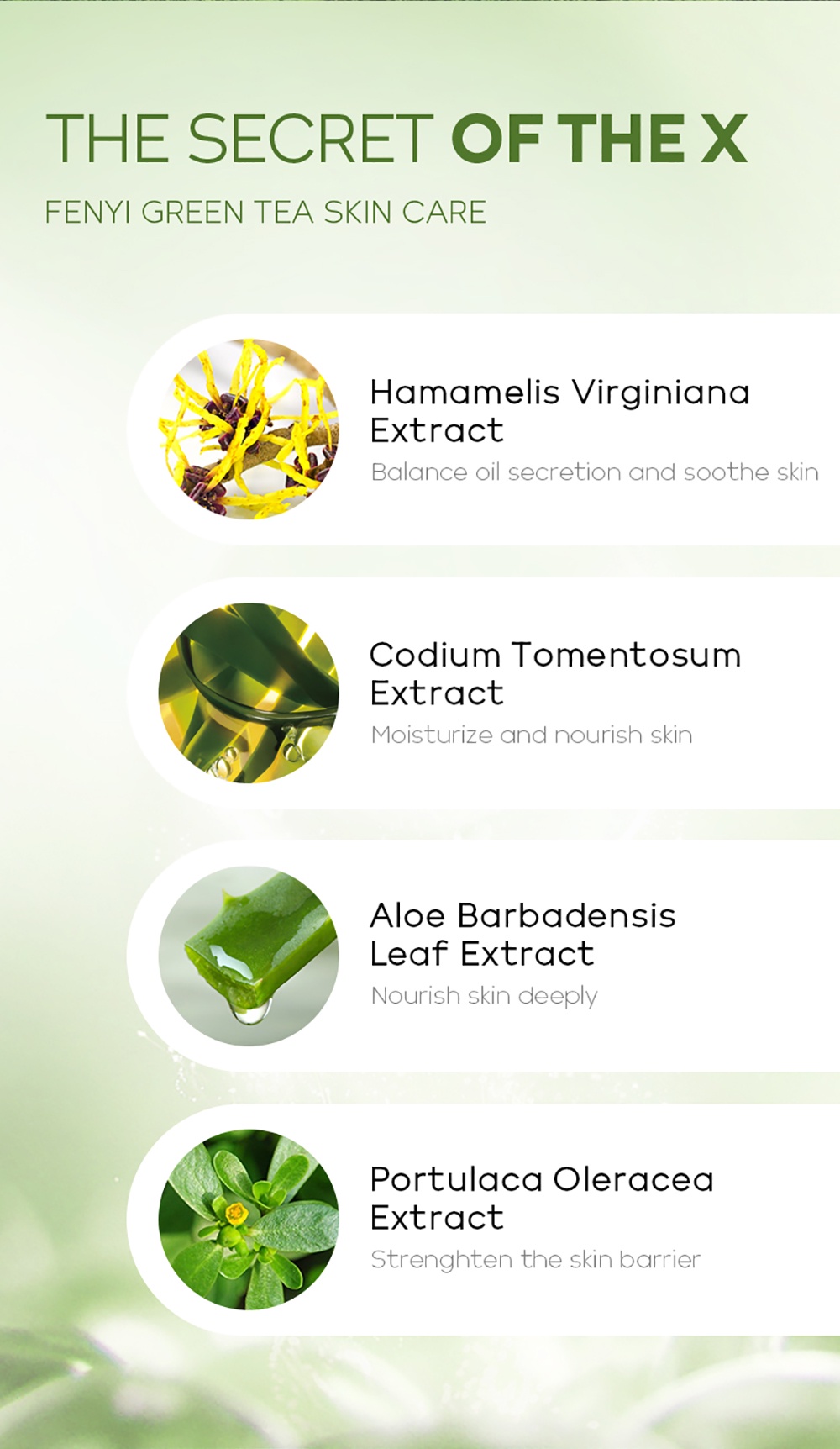 Fenyi Green Tea Fade Acne Marks Cream Sachet Cleansing Pores Brightening Oil Control Shopee