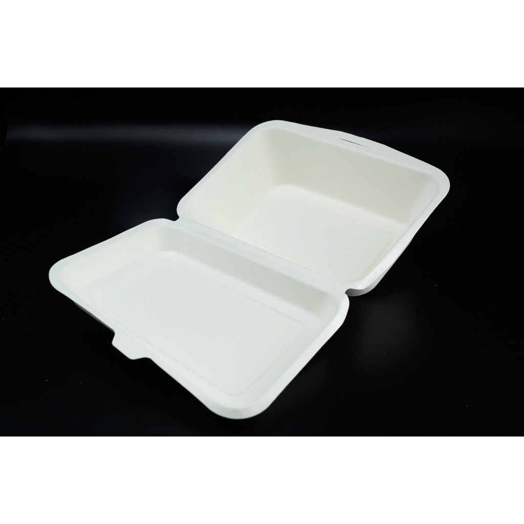 disposable-lunch-box-stock-photo-41408002-shutterstock