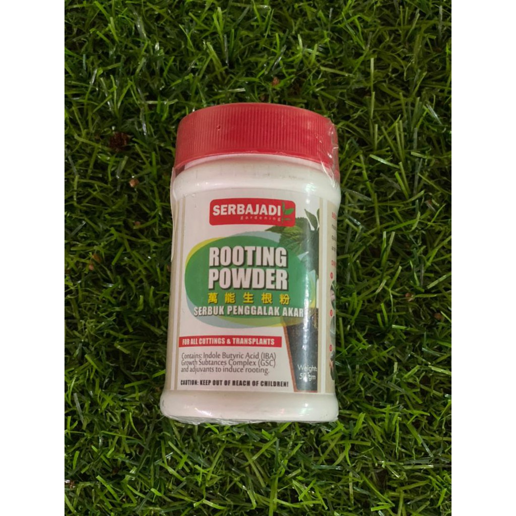 Serbajadi Rooting Powder IBA (50gm) / Segar Rooting Powder Rootmone ...