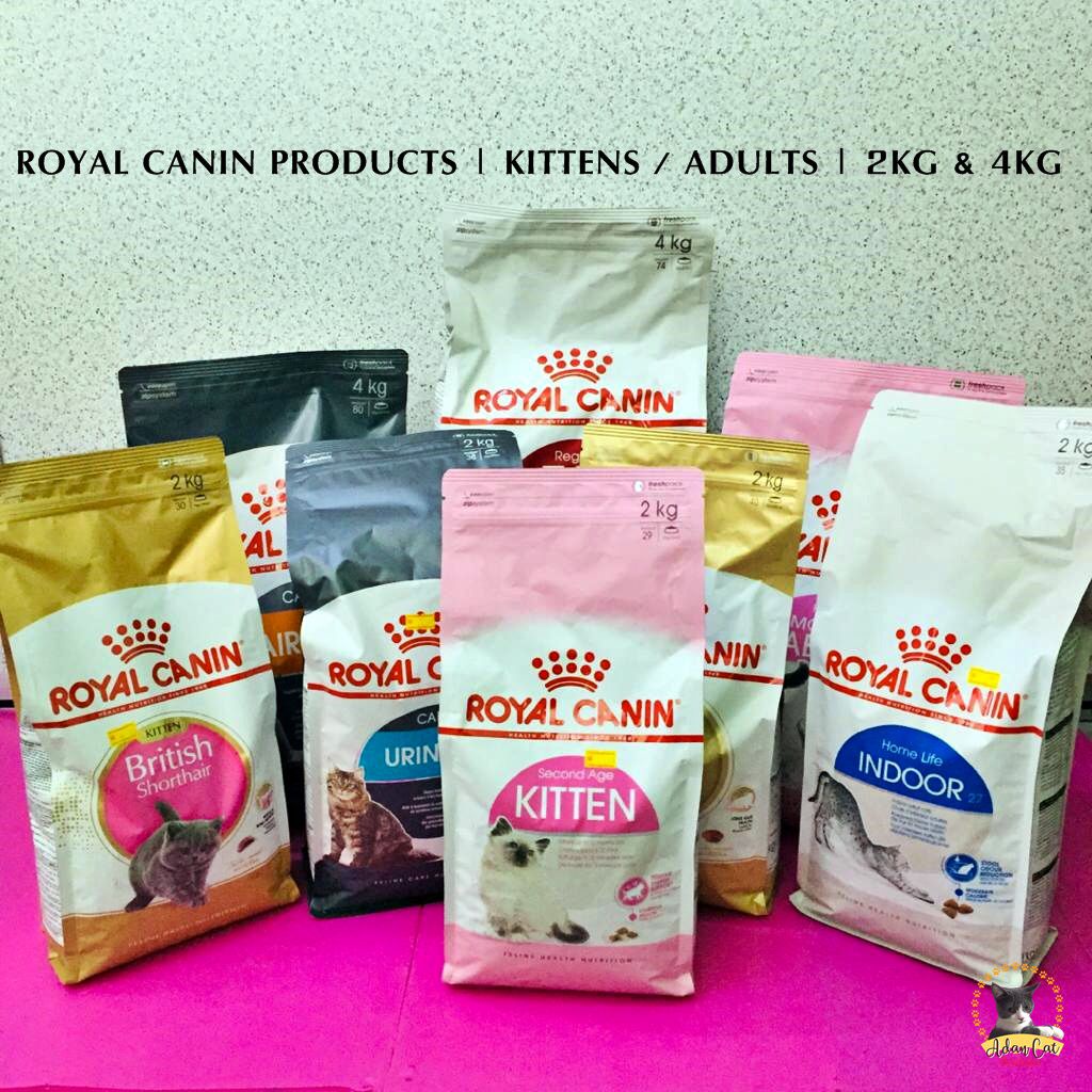 Royal Canin 4kg Kitten British Short Hair Persian Mainecoon Bengal