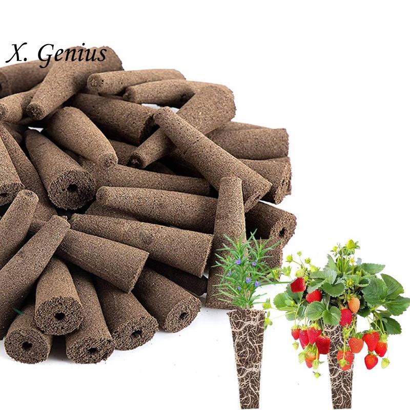 Grow Sponges for Use with AeroGarden, EcoFriendly Plant Growing Plugs