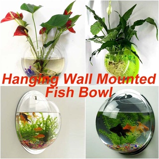Fish Tank Acrylic Plexiglass Fish Bowl Wall Hanging Aquarium Tank Aquatic  Pet Products Wall Mount Fish Tank for Betta Fish Fish Bowl (Color :  Transparent, Size : 15cm) : : Pet Supplies