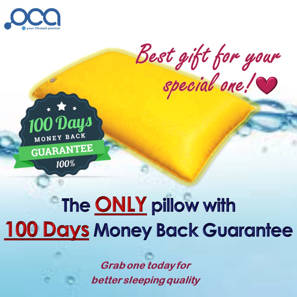 Oca 2024 aqua pillow