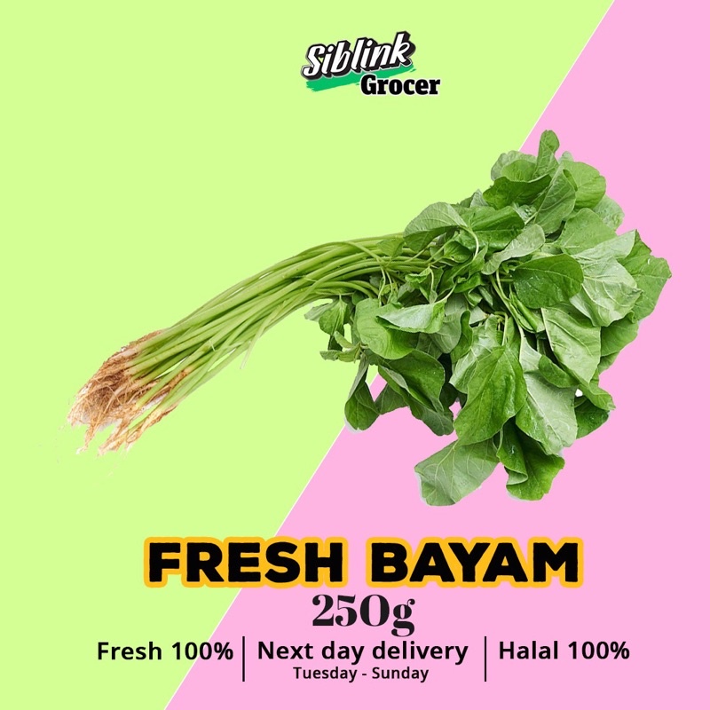 Fresh Bayam Chinese Spinach Harga Pasar Borong 250g Sayuran Segar