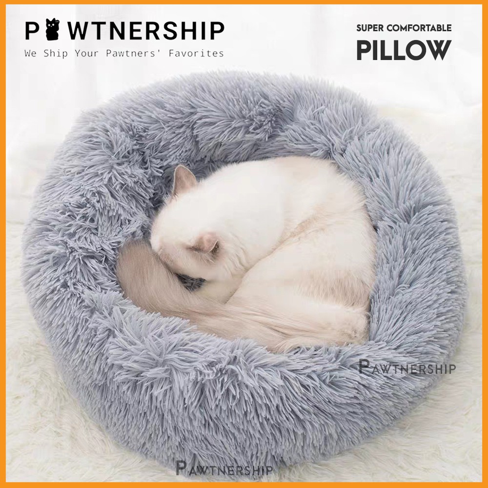 Cat shop sleeping pillow