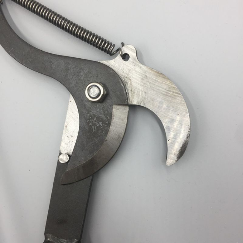 Rambutan Cutter Tree Pruner Trimmer Shear Rambutan Shear Gunting kait ...