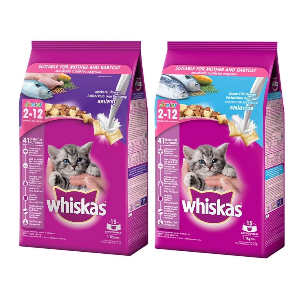 Whiskas junior kitten clearance food