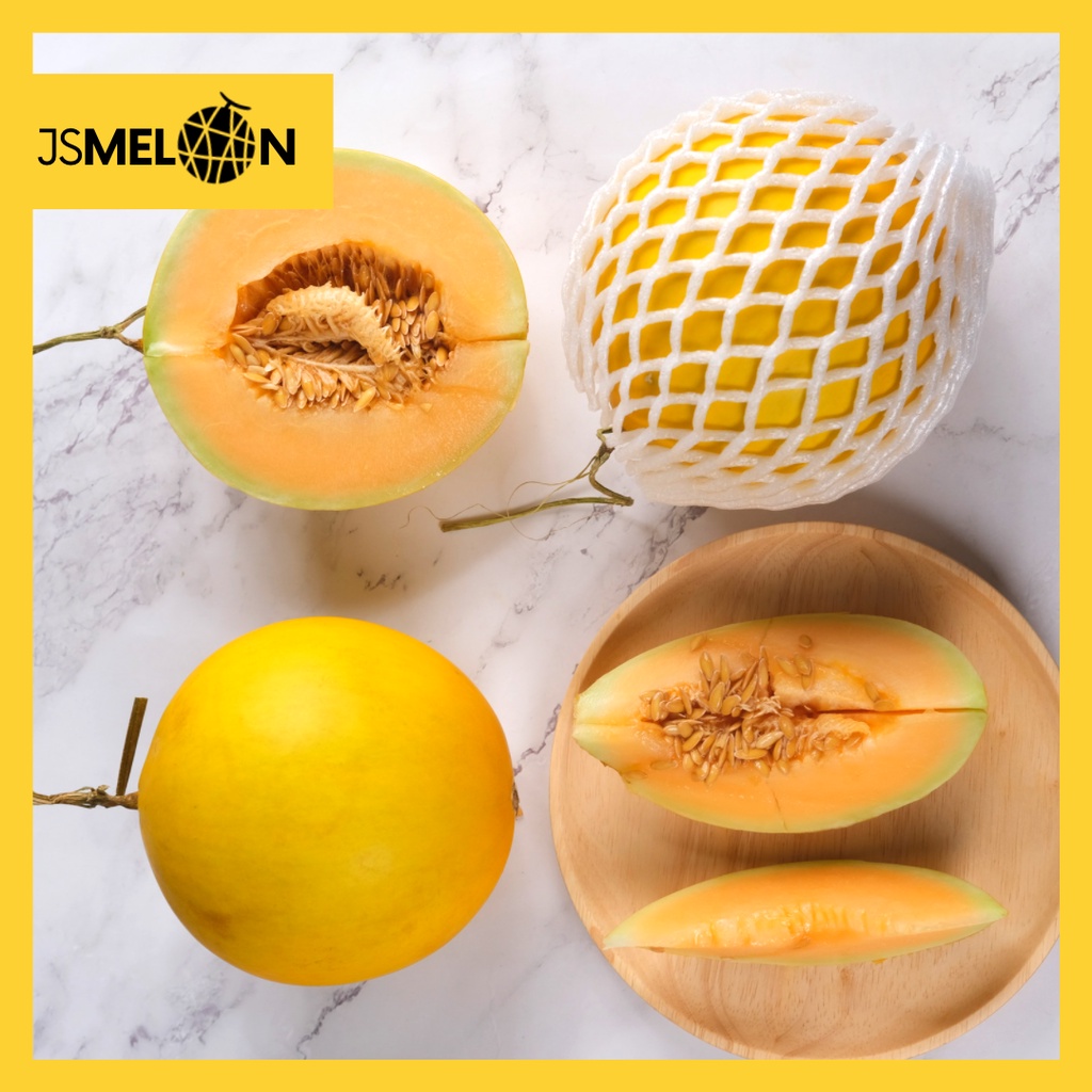 GOLDEN MELON JS Premium Tembikai Susu Manis Segar Fresh Dari Ladang
