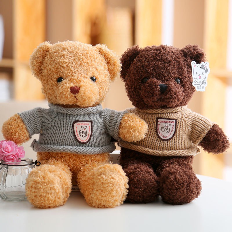 Korean teddy bear clearance brand