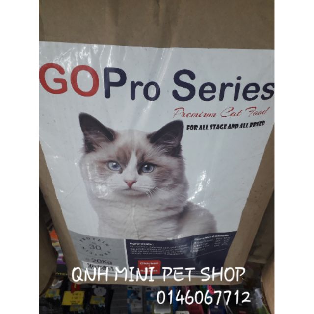 Gopro series cat hot sale food