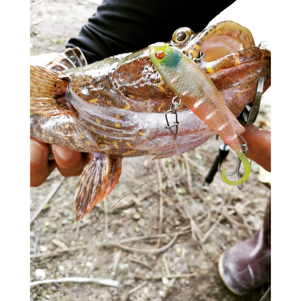 Lure, Zerek Fish Trap 110mm | Shopee Malaysia