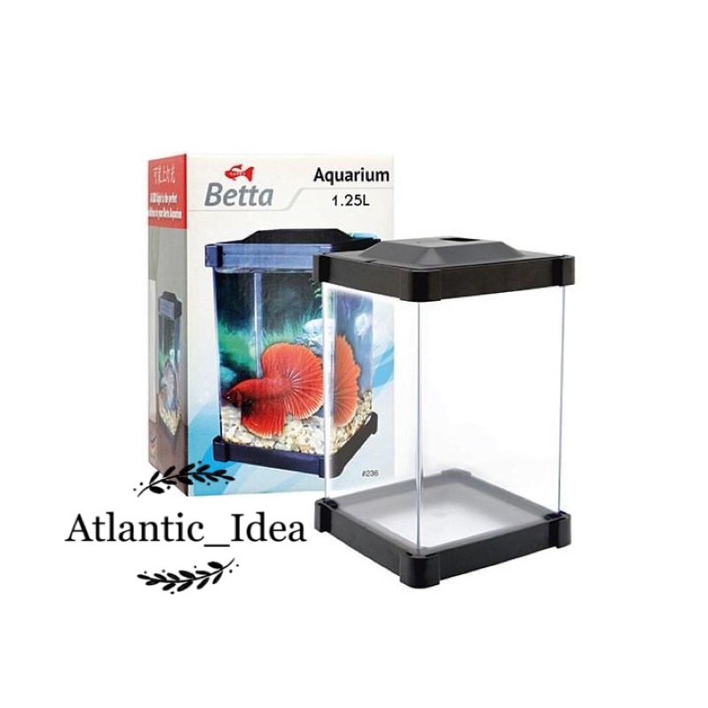 [ Ready Stock ] Betta Aquarium / Betta Fish Tank 1.25L (10CM X 10CM X ...