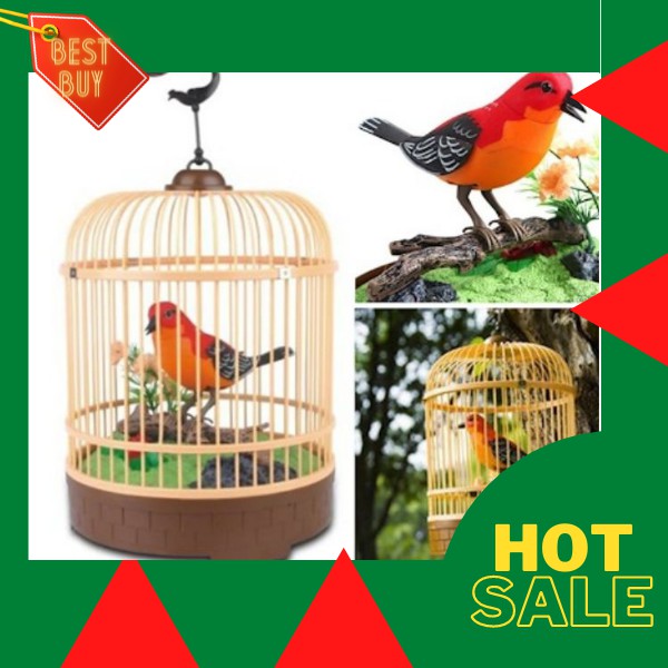 Beautiful bird hot sale toy