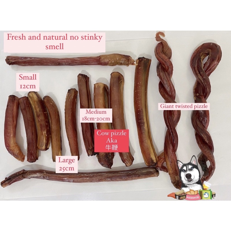 【READY STOCK】 Homemade air dried cow pizzle beef bully stick dehydrated ...