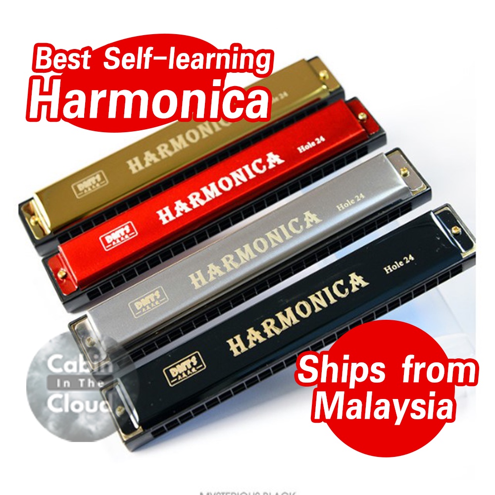 24 Hole Harmonica Mouth Organ Puzzle Musical Instrument Beginner Teach