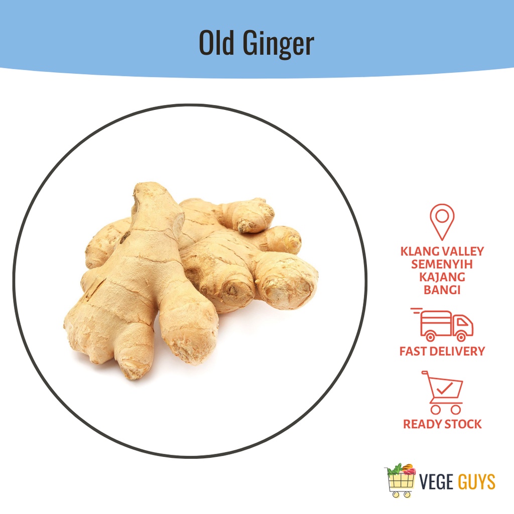 Old Ginger 老姜 (+/-250g) | Shopee Malaysia