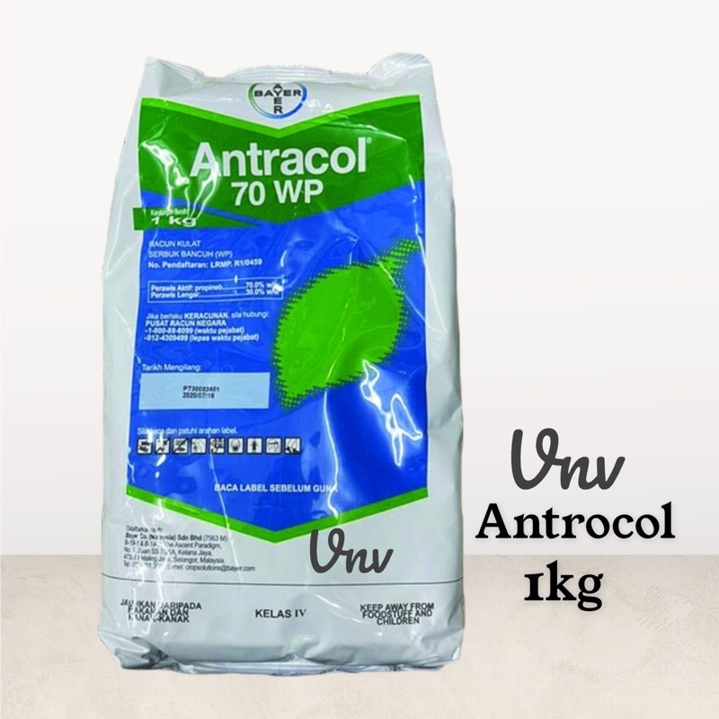 Racun Kulat Antracol 70WP 1kg propineb | Shopee Malaysia