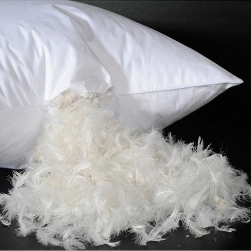 Feather down cushions best sale