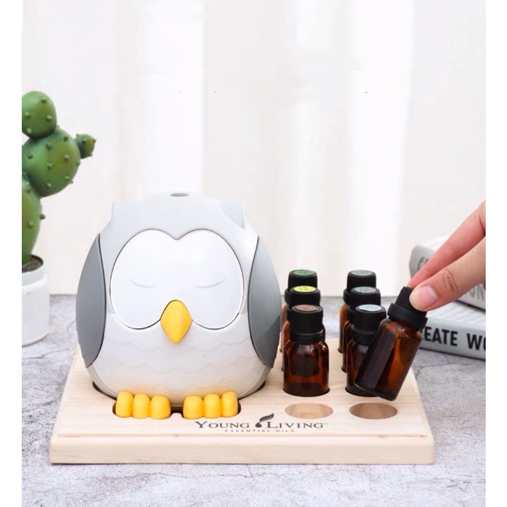 Owl Diffuser Display Rack / Premium Grade Essential Oil Storage Rack ...
