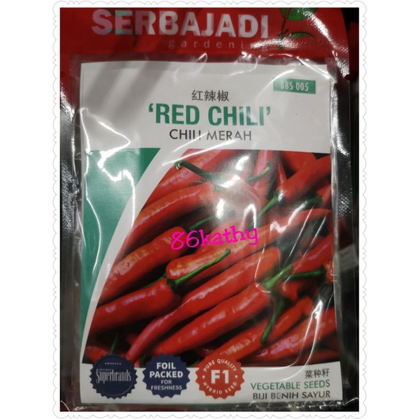 Bbs005 Seed Serbajadi Red Chilli Vegetable Seed Biji Benih Sayur