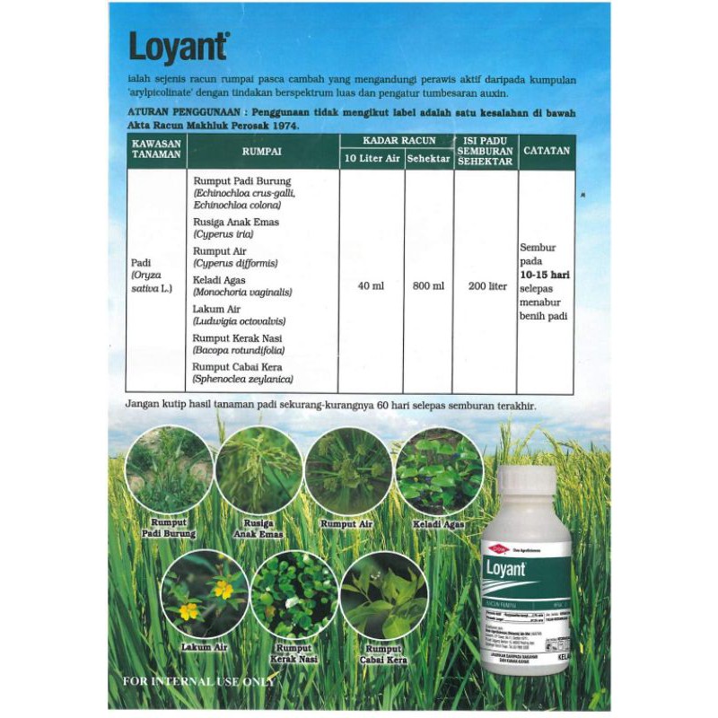 Racun Rumput Padi Loyant 500ml | Shopee Malaysia
