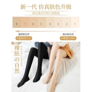 winter tight - Socks & Tights Prices and Promotions - Women Clothes Nov  2023