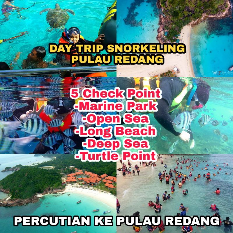 🌈 PEKEJ DAYTRIP SNORKELING PULAU REDANG Yang Pasti memberikan