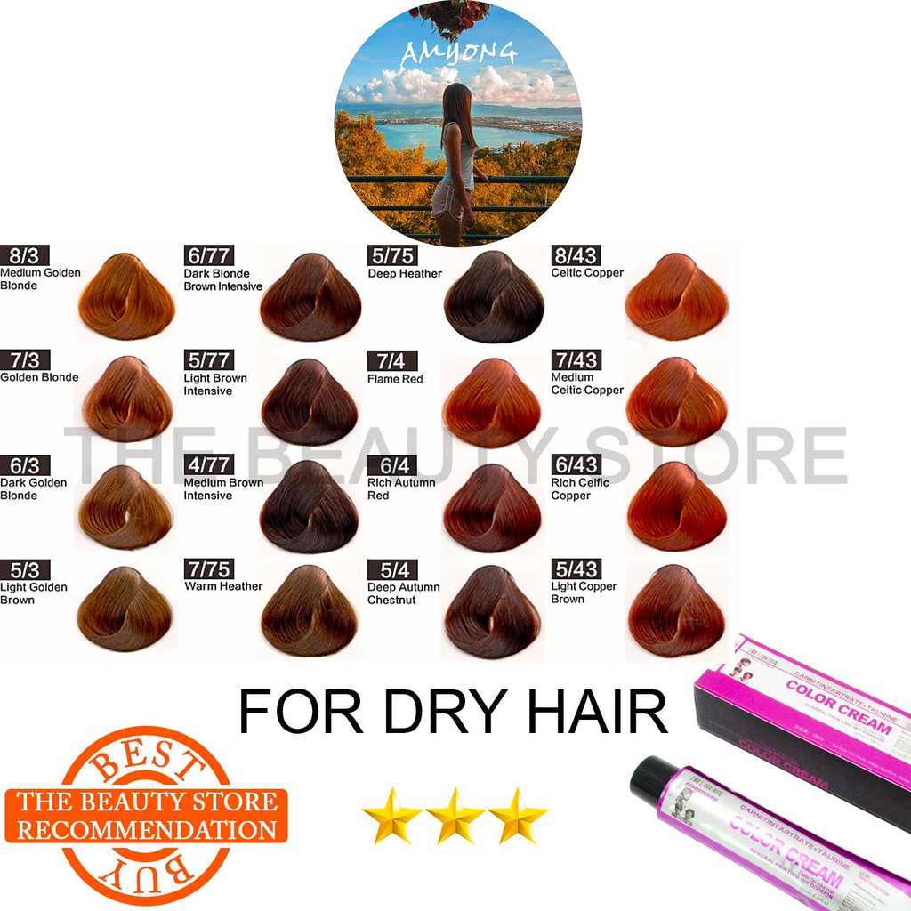 Japan Colour Dye Cream Pewarna Rambut Hair Color Hair Dye Hair Colour ...