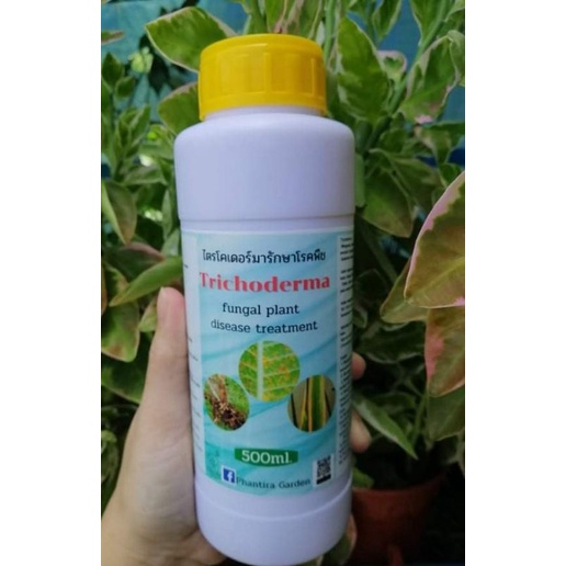 Trichoderma 500 ml. kawalan penyakit organik | Shopee Malaysia
