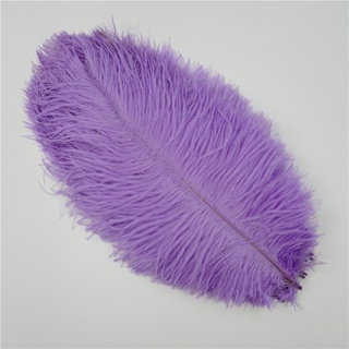 Zucker Ostrich Feathers - Drabs - 9 -12 inch - Champagne