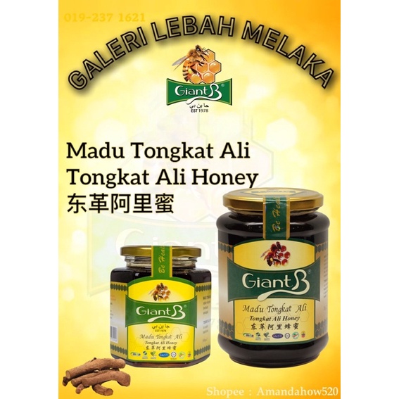 Giant B Honey ( Tongkat Ali Honey / Madu Tongkat Ali东革阿里蜂蜜 ) 500gm ...