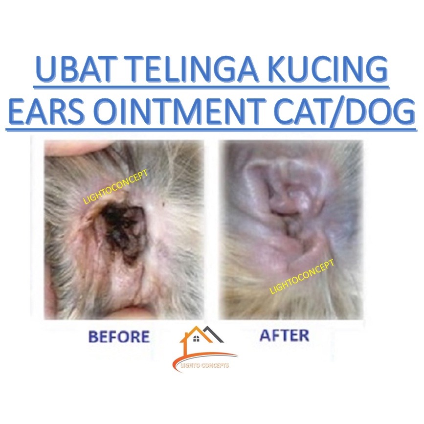 [ WHOLE SALES ]Ear Ointment Ubat Telinga Kucing Cat Dog OTITIS ITCHY