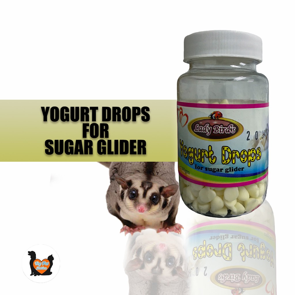 Top Pet Yogurt Drop for Sugar Glider Shopee Malaysia