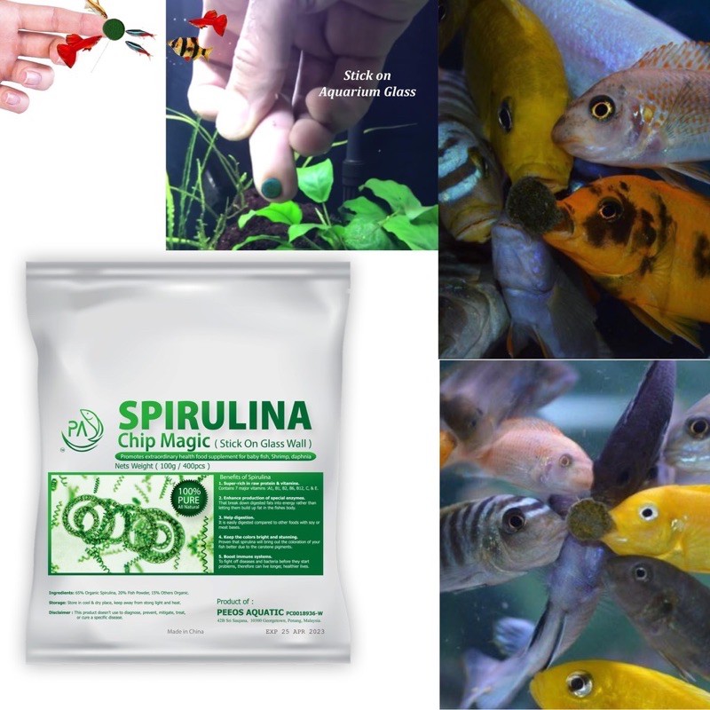 Spirulina for betta store fry