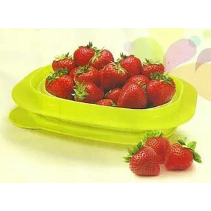 Tupperware Go Flex Rectangular (1) 800ml | Shopee Malaysia