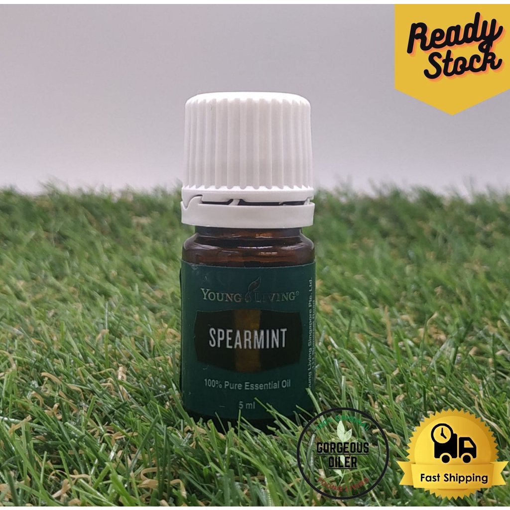YOUNG LIVING Spearmint Essential Oil Shopee Malaysia