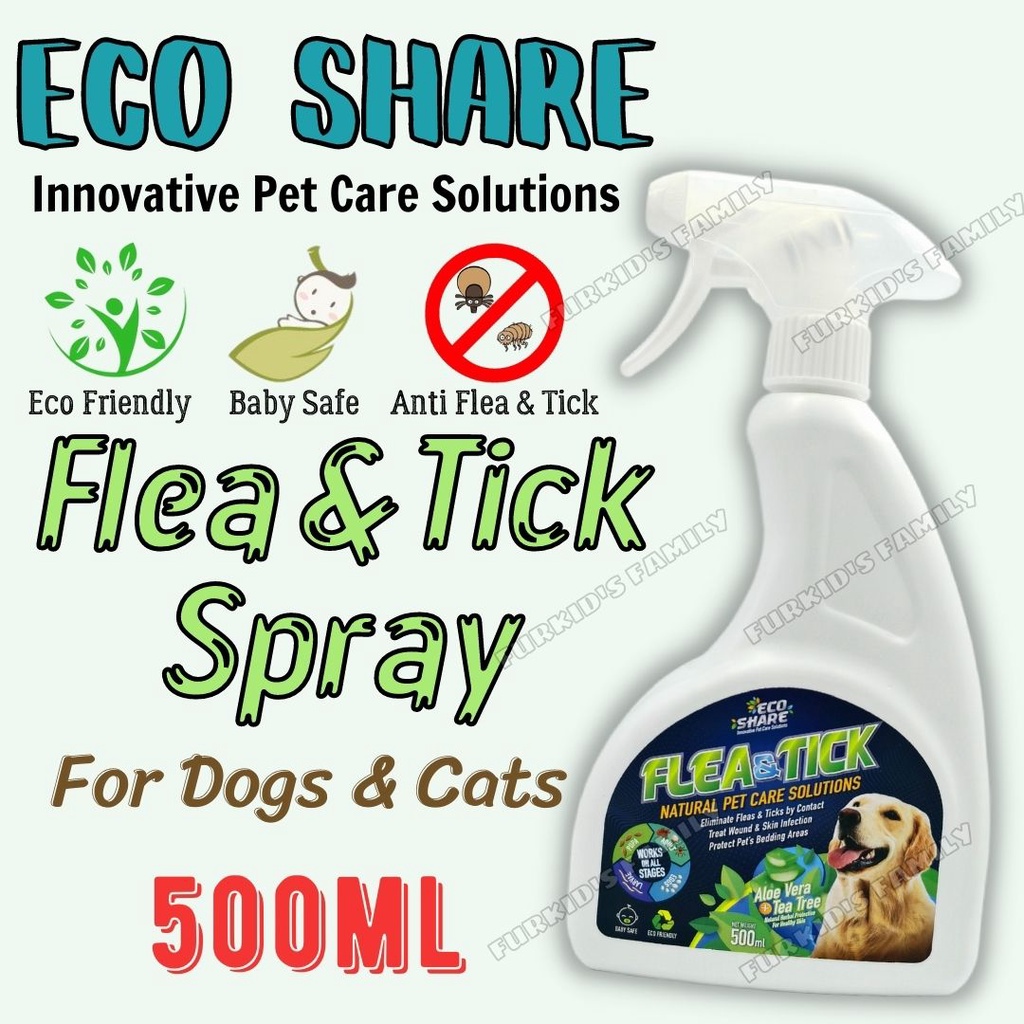 Eco 2024 flea treatment