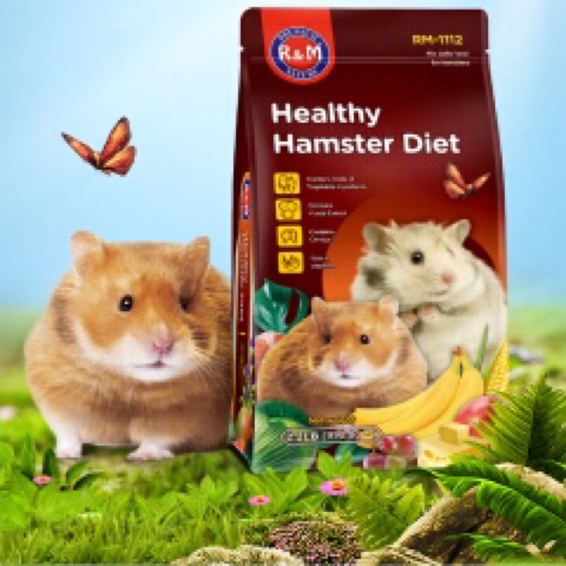 Healthy hamster clearance diet