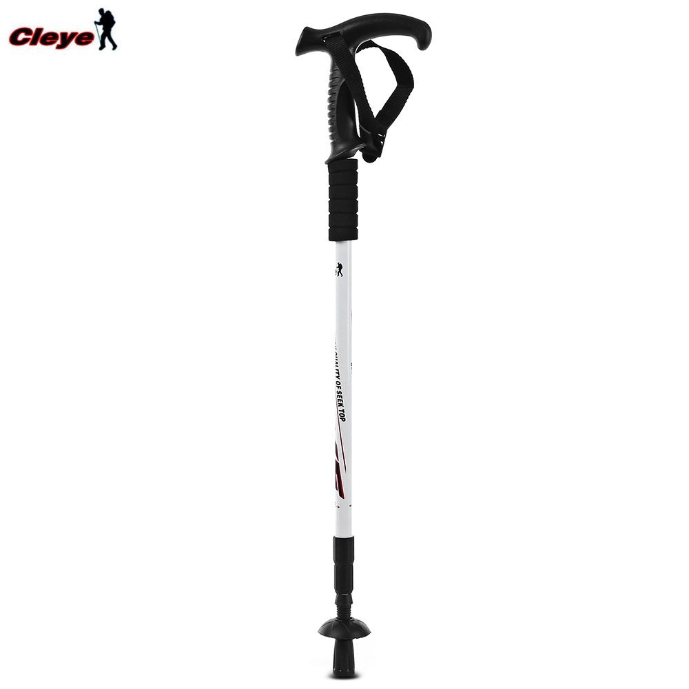 Adjustable hiking sale stick