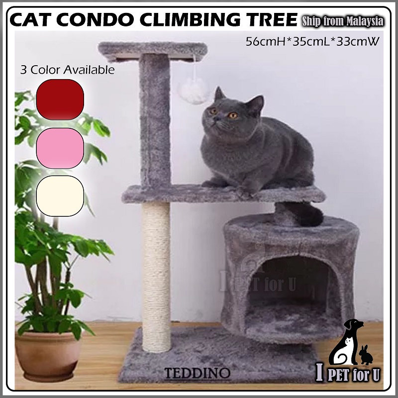 Cat Rack Solidwood Capsule Cat Tree Cat Condo Bed Scratcher House Cat ...