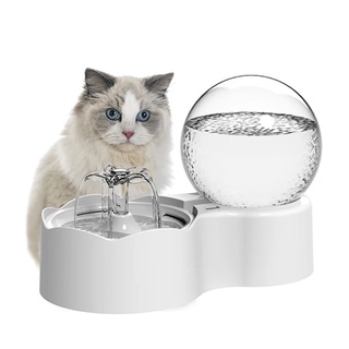 Circulating cat water dish best sale