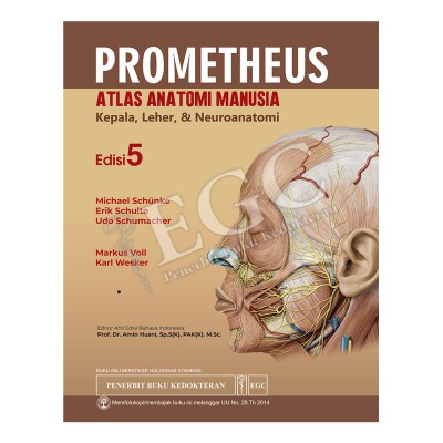 ORIGINAL Prometheus Book - Atlas of Human Anatomy Book Head Neck ...
