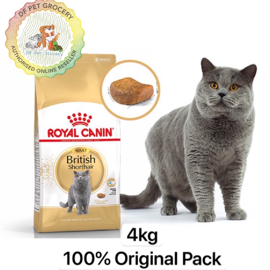 Royal canin british shorthair hot sale 4kg