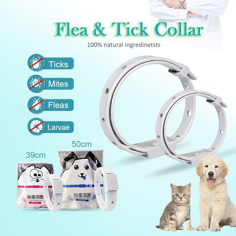 Serta flea hot sale collar