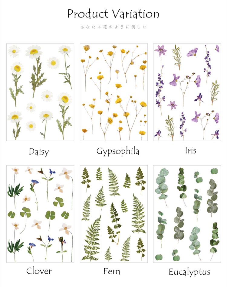 INS Vintage Flower Series Theme PET Deco Stickers DIY Decorations ...