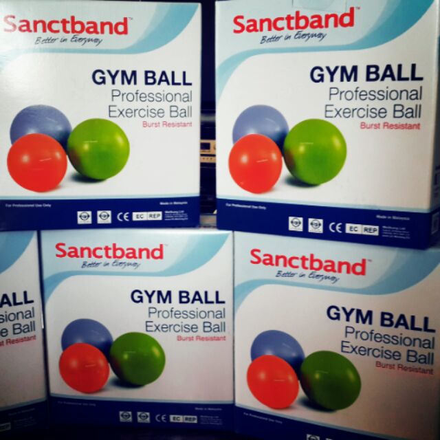 Sanctband gym 2025 ball