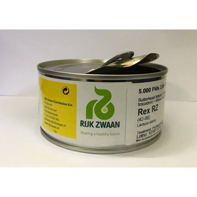 Rijk Zwaan Lettuce Butterhead Rex(20 seeds)Biji Benih Salad Lettuce