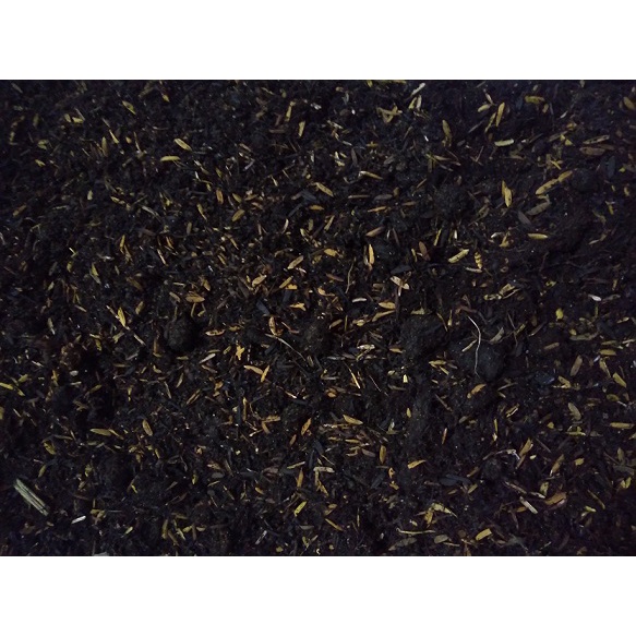 X blend Caladium Soil Mix 5L Shopee Malaysia