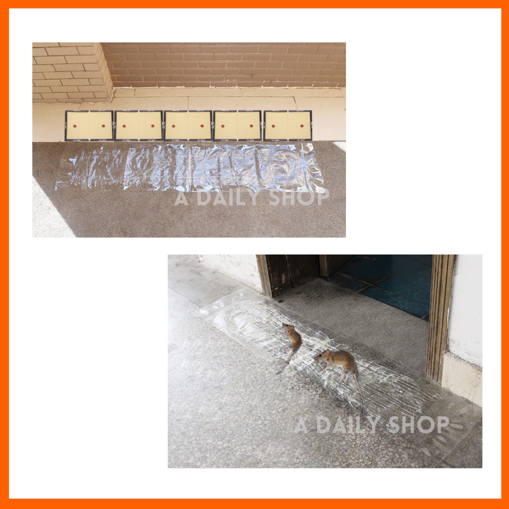 Cockroach Trap Cockroach Killing Bait Lizard Ants Mouse Sticky Mat ...