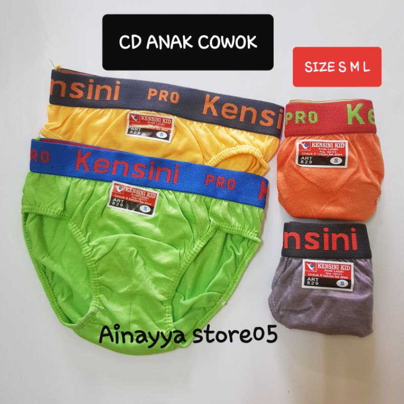 (6pcs) Kensini Kids Boy Panties 